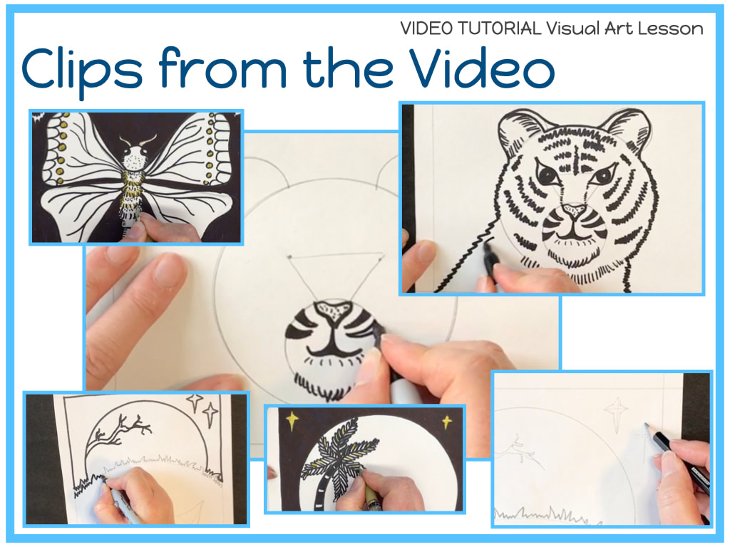 Colour Theory ACHROMATIC ANIMALS video art lesson plan for grades 3-6